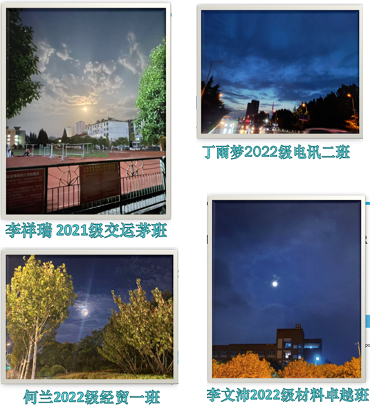 1670210529967077096.png image.png